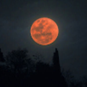 Meet your Posher, Todd